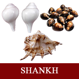 Shankh