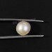 Keshi Pearl | KC Pearl (South Sea) Moti - 3.80 carats