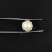 South Sea Pearl (Moti) - 3.85 carats