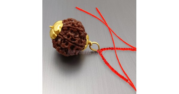 Gold chain online with single rudraksha