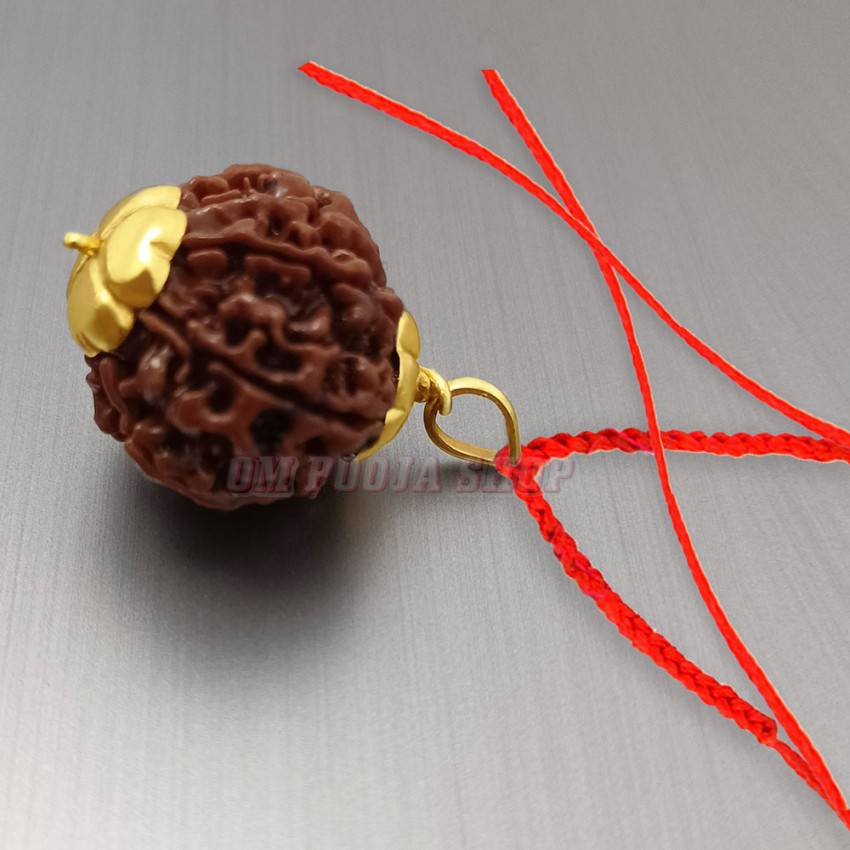 Nine Mukhi Nepali Rudraksha in Gold Pendant