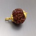 Nine Mukhi Nepali Rudraksha in Gold Pendant