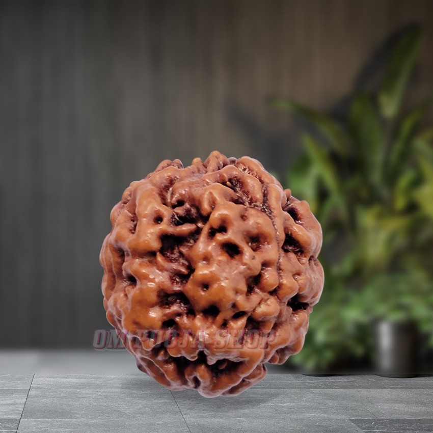 Three Mukhi Nepal Rudraksha with OM Symbol