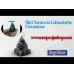 Shri Yantra in Labradorite Gemstone 40 to 100 Gms