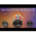 Shri Narayan Vishnu Shaligram Stone