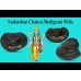 Sudarshan Chakra Shaligram Shila - Big Size