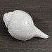 Flower Carving Natural Blowing Shankha - 6.25 Inches