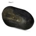 Krishna Shaligram Stone Shila - Big Size