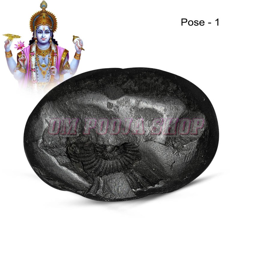 Sri Vishnu Roopam Shaligram Shila with Eyes of God