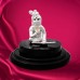 Ladoo Gopal Ji 999 Pure Silver Divine Gift in Air Proof Acrylic Box