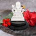 Yogi Ganeshaji in 999 Pure Silver Divine Gift in Air Proof Acrylic Box