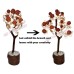 Gomati Chakra with Rudraksha Healing Kalpa Tree - 7 inch