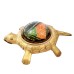 Tortoise Vahan Durghatna Nashak Yantra in Brass Size: 1.5x4.25x3.5 inches